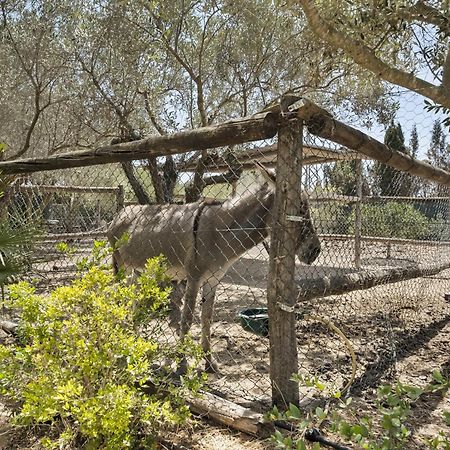 ピラール・デ・ラ・オラダダ Cambiardeaires Rural Piedraヴィラ エクステリア 写真