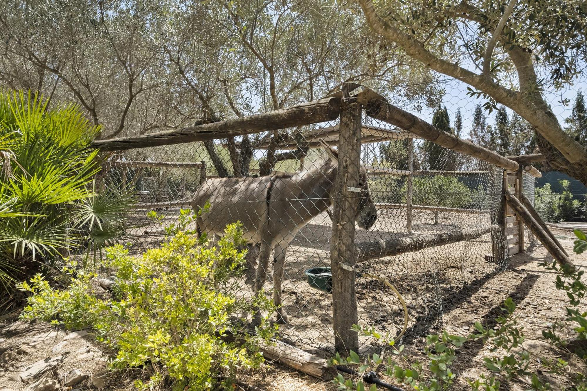 ピラール・デ・ラ・オラダダ Cambiardeaires Rural Piedraヴィラ エクステリア 写真